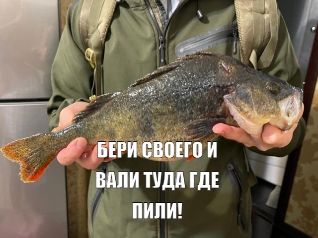 А я на рыбалке