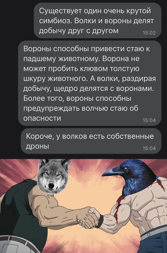 Весёлый полтишок  26.10.22