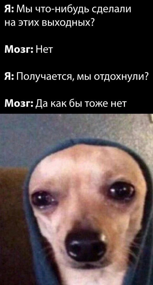 Весёлый полтишок 10.11.22
