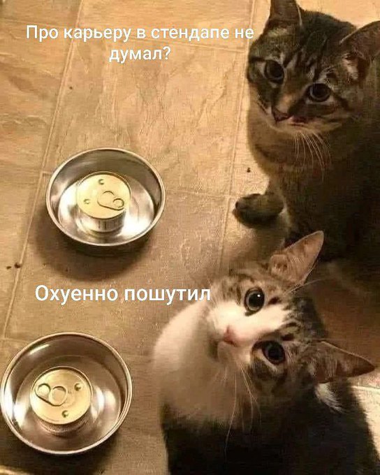 Нуштош 28.02.23