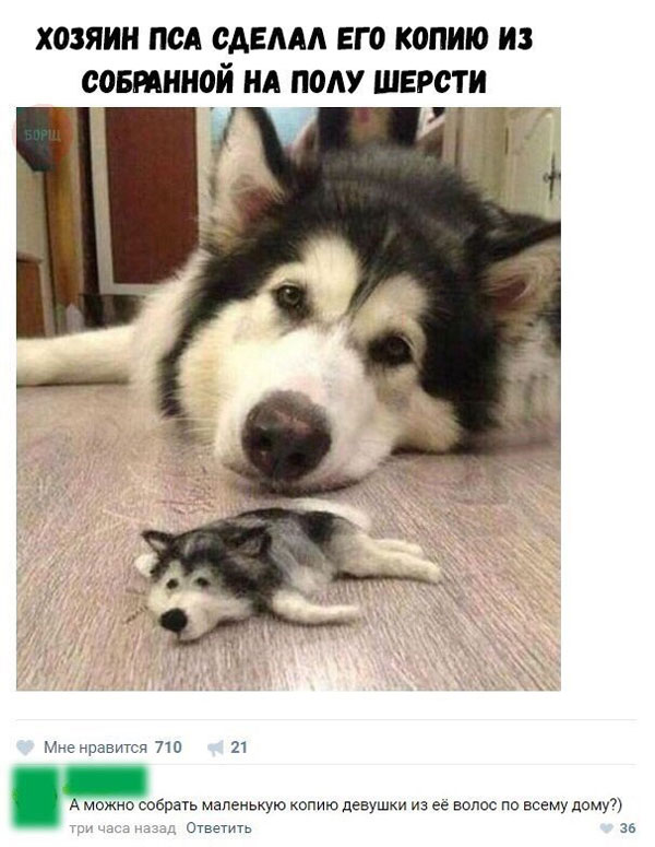 Бабаяны подвезли