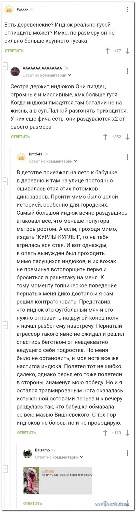 Забавные комментарии из социальных сетей (11.09.23)