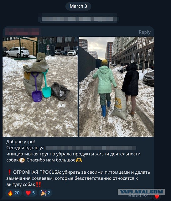 Собачники облюбовали для массовых прогулок бульвар в центре Челябинска. Теперь на него больно смотреть