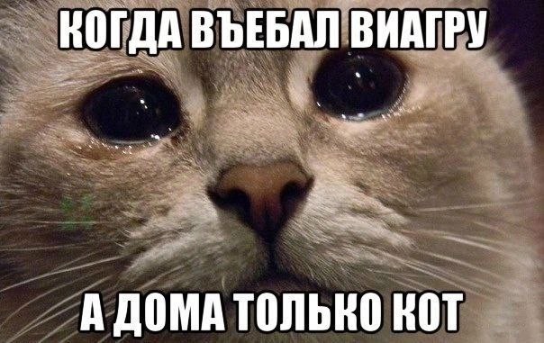 Картинки и видео категории Г (часть 2)