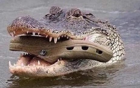 Ну наконец-то, как же это они догадались