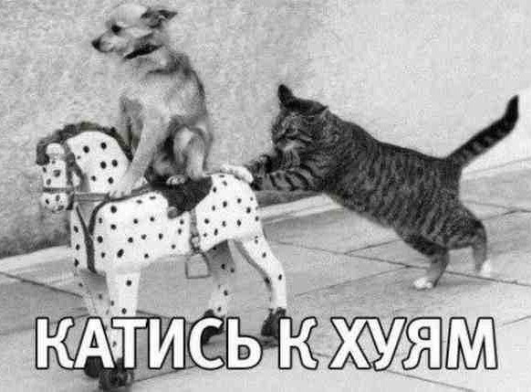 Женщина выставила ряд условий своему мужчине, после выполнения которых, она готова родить ему первенца.