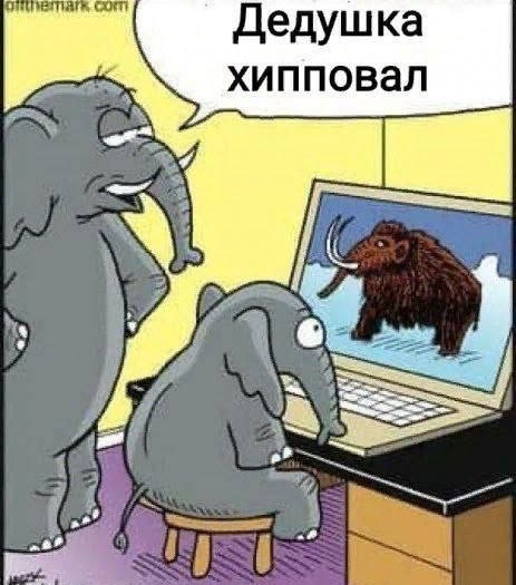Веселые картинки в пятницу (14.11)