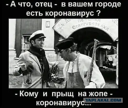 В Госдуме призвали перевести россиян на удаленку из-за вспышки гриппа