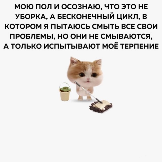 К котовторнику: подборка картинок-баянов с котиками и про котиков. Выпуск 32.