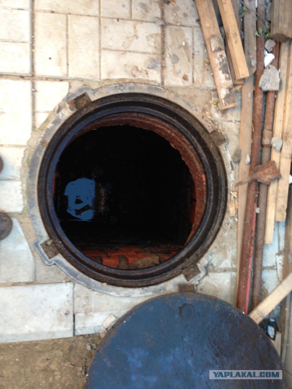 Чем еще могут заниматься IT-шники