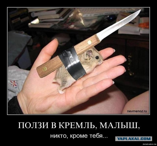 Визуализируем свои ники!
