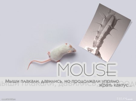 Подборка прикольных фото.