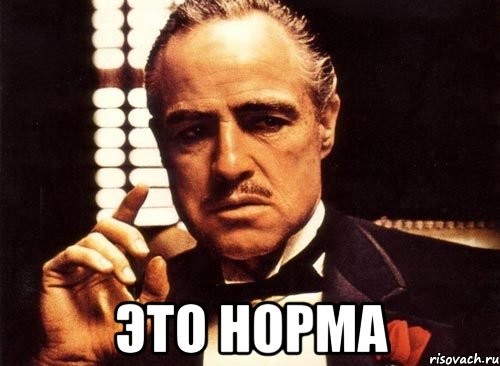 Злой у меня двор