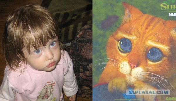 Они нашли себя