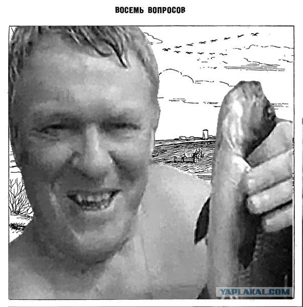 8 вопросов