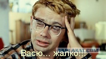 Вася тырит рыбу.