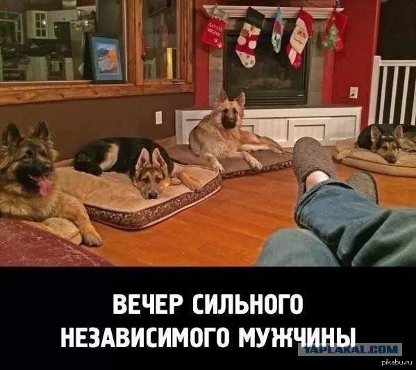 Как я высвободил кучу свободного времени