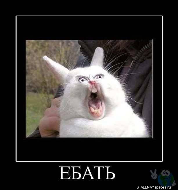 Живой Барби из Москвы не дают найти бойфренда