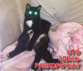 Эротический фотосет "гламурной кисы" у зеркала