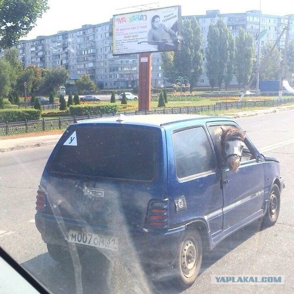 Картинки из соцстей