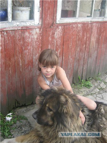 Цобаководы ЯПа,все сюда