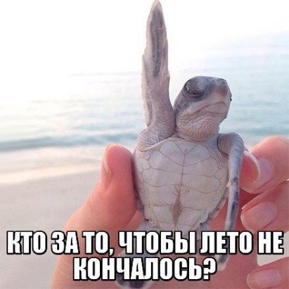 Подборка картинок