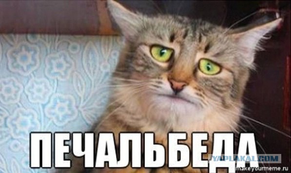 Натяни трусы повыше или новый "модный тренд" Wedgie