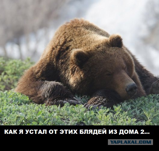 19-летнюю участницу «Дома-2» выгнали с проекта за проституцию