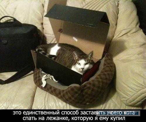 Юмор не для всех