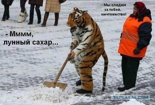 Околоигровой юмор не заказывали?