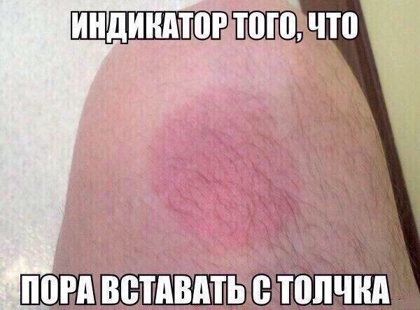 Подборка интересных и веселых картинок