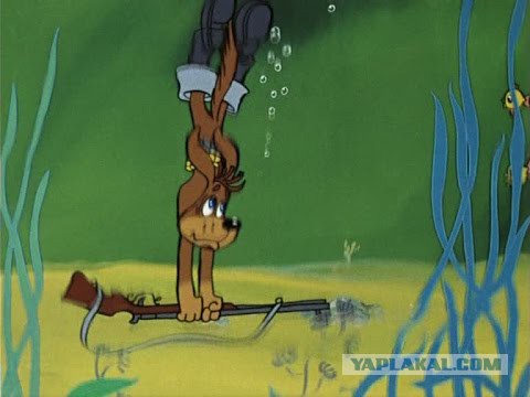 Схватка лося и волка случайно попала на видео с квадрокоптера