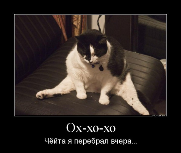 Немного веселых картинок к среде