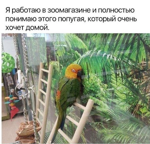 Зарядись позитивом на понедельник