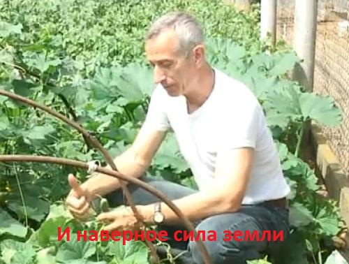 Бесплатная медицина - всепропало?! Если правда оно,  Ну, хотя бы на треть,  Остается одно:  Только лечь, помереть.