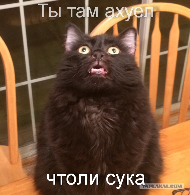 Иван Ургант репатриировался в Израиль. Ой-вей. Да что ж такое