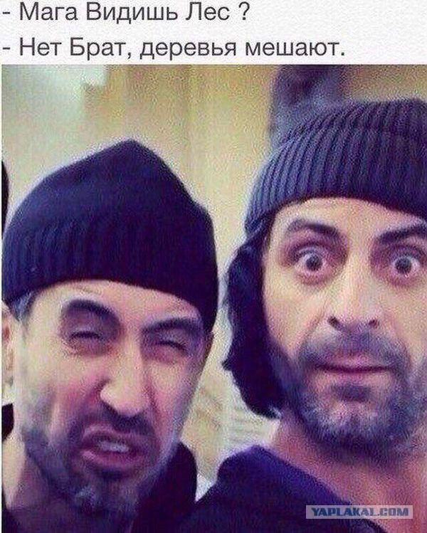 Днем, смешные картинки мага