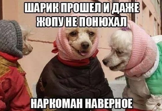 И снова о ЯПе