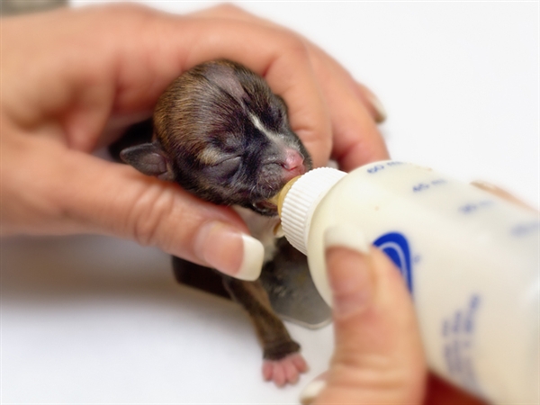 Чудо под названием жизнь!