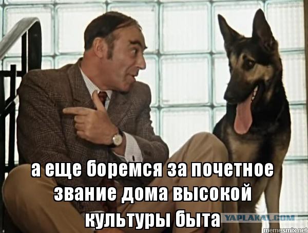Медведев призвал бороться за присвоение Периодической таблице имени Менделеева