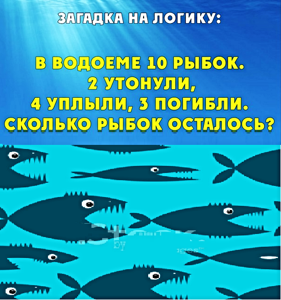Анекдоты, истории и картинки с надписями