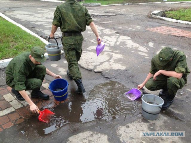 Вещи, которые американцы довели до абсурда