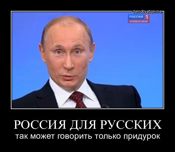 Цыгане возвращаются в Чемодановку, «бунтари» платят штрафы