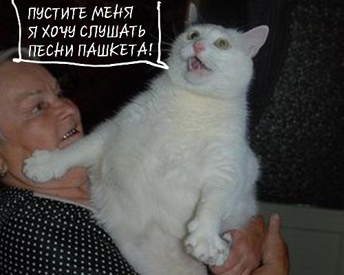 Друзья! Вот и панки спели мою песню - это успех, друзья?