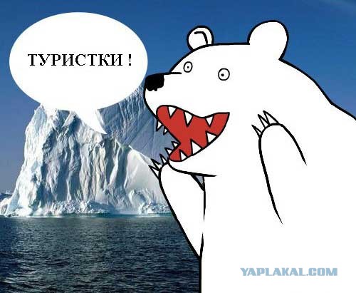 Мишка не рискнул с ними связываться