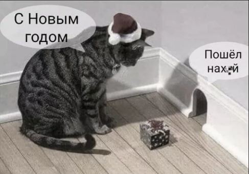 Мыши ходят пешком по даче