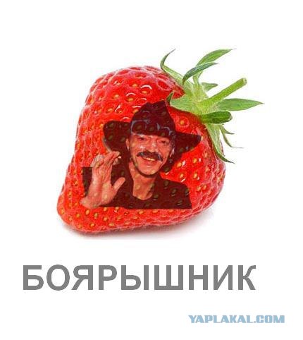 Фотожаба: Лето, фрукты, генетика!