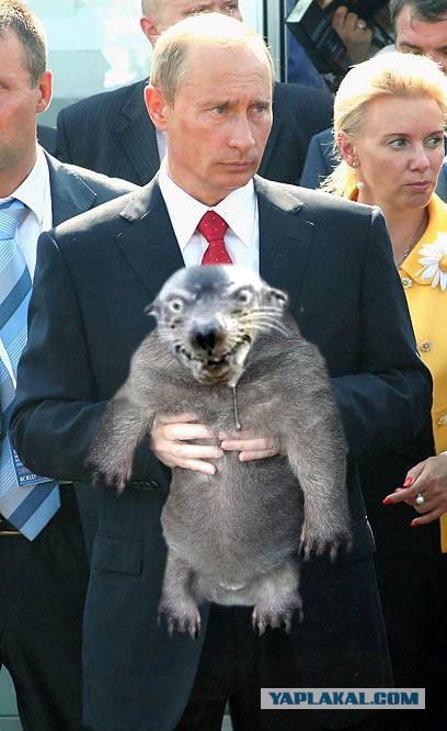 Фотожаба: Путин и зверь