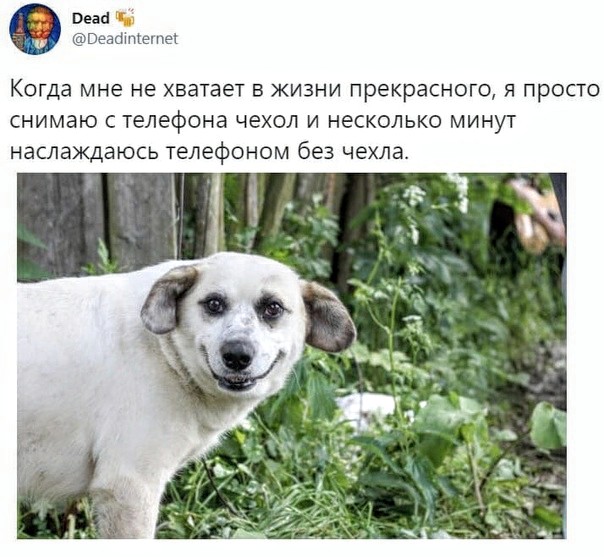 Немного картинок для настроения 16.07.20