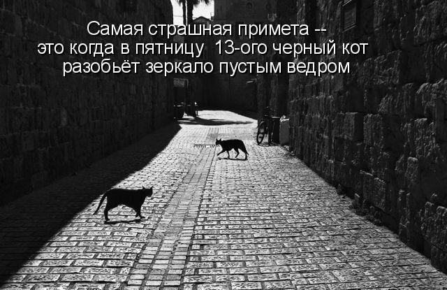Баянисто-небаянистый юмор 15.11.20